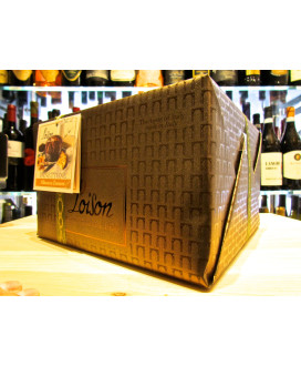 Buy online sales Loison Italian Panettone Apricot and Ginger craft handmade. Shop online Panettone ginger made in Italy