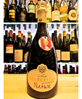 Online sale Lambrusco Marcello Nature, Cantina Ariola, best price on line italian sparkling red wine quality. Online Shop