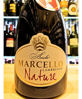 Vendita online Lambrusco Marcello Nature, Cantina Ariola, miglior prezzo on line vino rosso frizzante di qualità. Shop on-line