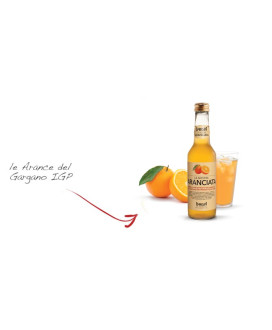 Online Sale WATER AND DRINKS LURISIA: ORANGE, CHINOTTO, TONIC WATER OF CHINOTTO Gazzosa Vulpitta Corso 101