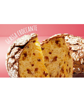 Vendita online panettone Filippi Senza Canditi Avorie'. Shop on line panettoni artigianali della pasticceria Filippi, prodotto d