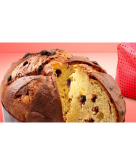 Filippi Panettone all Amarena