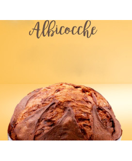 Filippi - Panettone all'Albicocca - 1000g