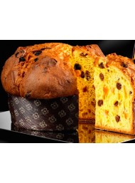 Bonollo - Panettone Of alla Grappa di Amarone Barrique 1000g