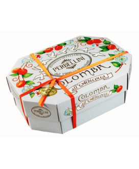 Vendita online Colomba di Perbellini all'albicocca prezzo on-line - Bovolone - Verona. Shop on line Colombe artigianali