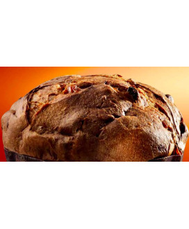 Vendita online panettone Filippi Caramello salato. Shop on line panettoni artigianali della pasticceria Filippi