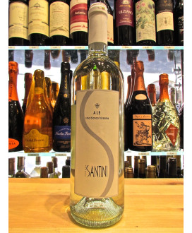 Vini Santini - Ale - Sparkling white table wine - Online shop best quality white wines from Romagna sales