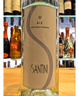 Vini Santini - Ale - Sparkling white table wine - Online shop best quality white wines from Romagna sales