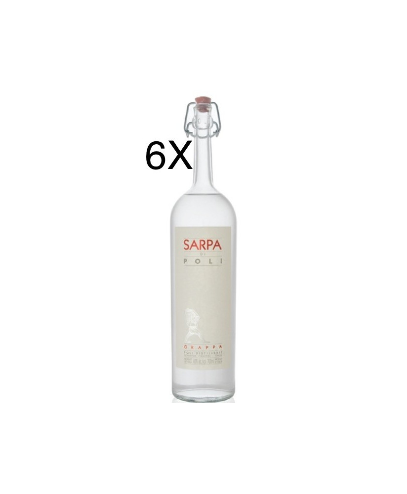 Shop online italian grappa Jacopo Poli Sarpa Bianca. Made in Italy Grappa Poli schnapps