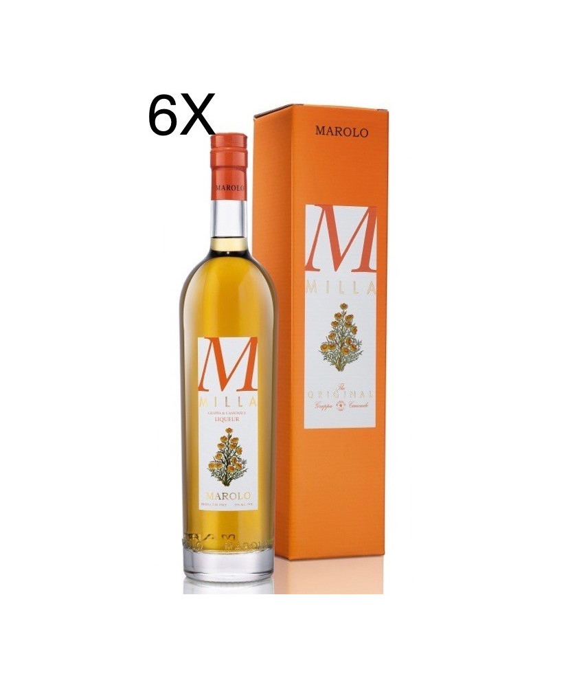 Online sales and prices Grappa Italian Marolo Liquor with Chamomile and grappa. Shop online schnapps distillery Marolo Alba, Cun