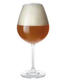 vendita birra artigianale online shop birre artigianali miglior prezzo qualità 32 via dei birrai oppale oppalescente all' frutta