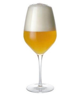 vendita birra artigianale online shop birre artigianali miglior prezzo qualità 32 via dei birrai treviso non filtrata pastorizza