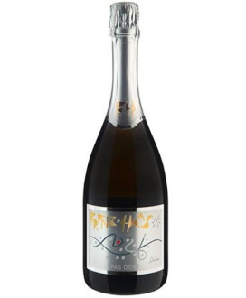 Vendita online Franz Haas Pas Dosé Millesimato 2010 - 100% Pinot Nero. Shop on-line e prezzi Spumante metodo classico  