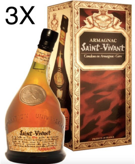 vendita online armagnac saint vivant liquore francese miglior qualità prezzo liquori francesi shop in rete de la Salle francia n