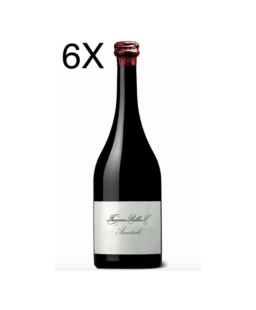 Lambrusco Ancestrale Francesco Bellei - Shop online Lambrusco di Modena - Sales price italian red sparkling wines