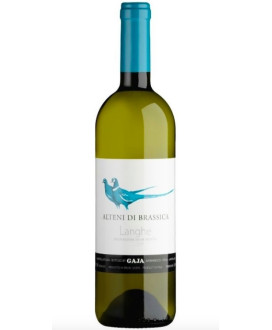 Gaja Alteni di Brassica Sauvignon vendita online. Shop online Gaja Alteni di Brassica Sauvignon piemontese doc.