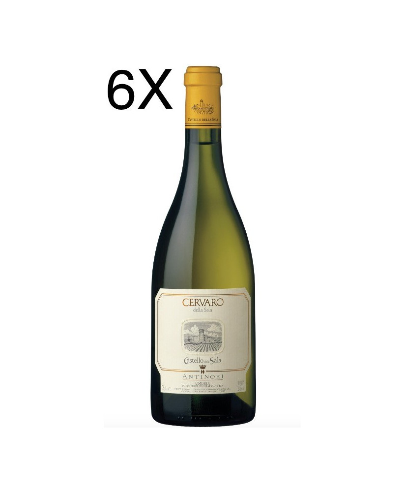 Cervaro della Sala - Castello della Sala - Marchesi Antinori - Shop online white wine place in barriques - Sale price