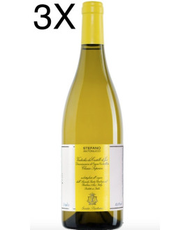 Antonucci Bianco Santa Barbara Verdicchio Superior - Shop online verdicchio white wine Marche region wines price