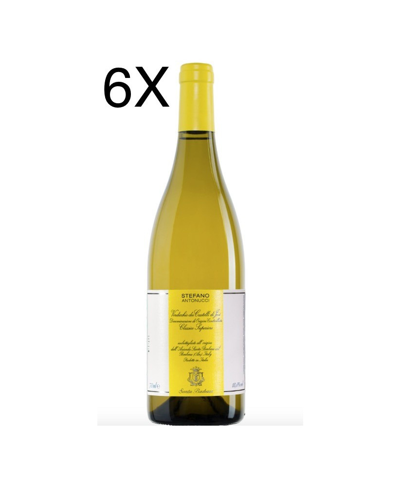 Antonucci Bianco Santa Barbara Verdicchio Superior - Shop online verdicchio white wine Marche region wines price