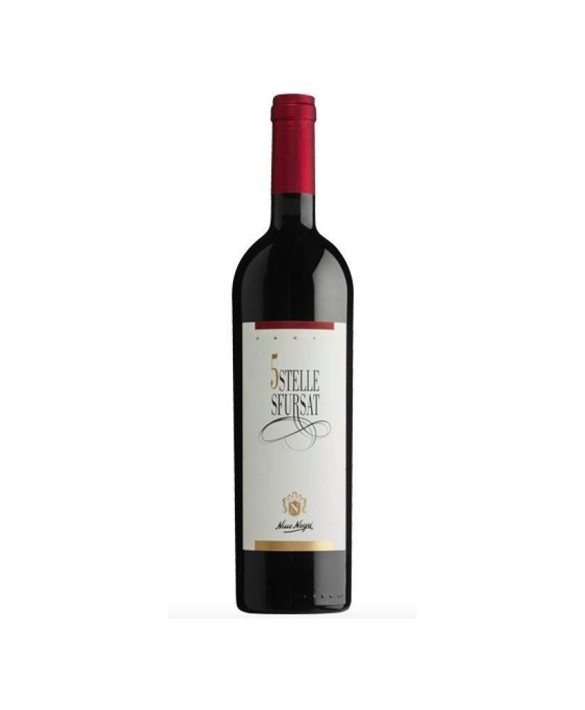 Sfursat 5 Stelle Nino Negri exclusive red wine online | corso101.com