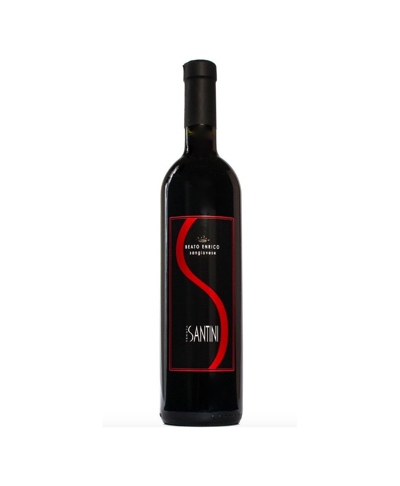 Beato Enrico Sangiovese Tenuta Santini Coriano red wine online shop | Corso101.com