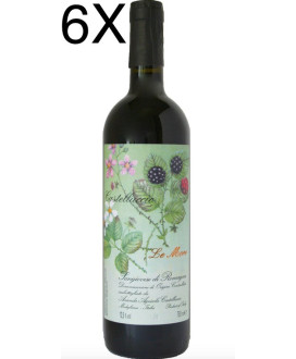 Le More Catelluccio Sangiovese italian quality red wine online shop | Corso101.com