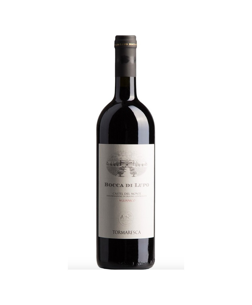 Tormaresca Bocca di Lupo shop online italian red wine aglianico | corso101.com