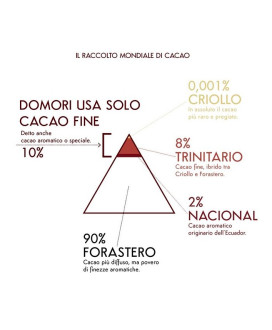 Domori Trinitario 100% cocoa - Online shop italian dark chocolate bars Domori - Shop online and price quality 