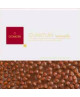 (6 BARS X 300g) Domori - Milk Chocolate with Hazelnuts