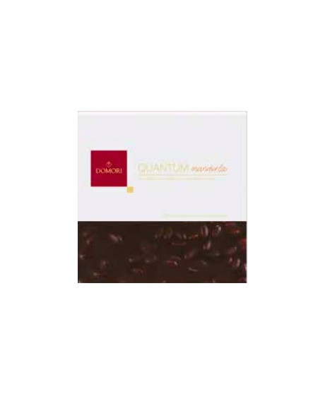 Domori - Milk Chocolate with Hazelnuts - 500g