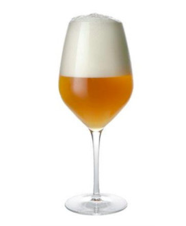 vendita birra artigianale online shop birre artigianali miglior prezzo qualità 32 via dei birrai treviso non filtrata pastorizza