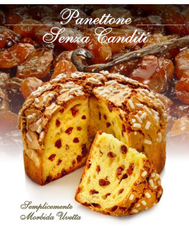 Flamigni Panettone artigianale senza canditi vendita online | corso101