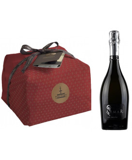 Online sales packaging Christmas 2013 with prosecco, panettone craft Fiasconaro quality (Typical Christmas Cake) and Italian Pro