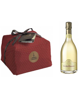 Vendita online confezioni Natale 2014 con panettone artigianale Fiasconaro e Franciacorta Ca' Del Bosco. Shop on line idee regal