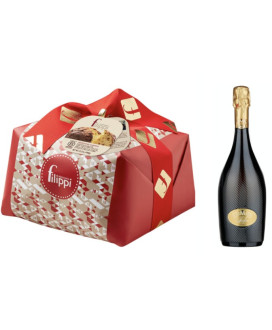 Vendita online confezioni Natale 2015 con panettone artigianale Filippi e prosecco Foss Marai di qualità. Shop on line idee rega