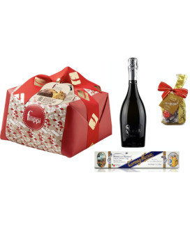 Vendita online confezioni Natale 2015 con panettone artigianale Filippi, Torrone Sorelle Nurzia e prosecco Armar. Shop on line i