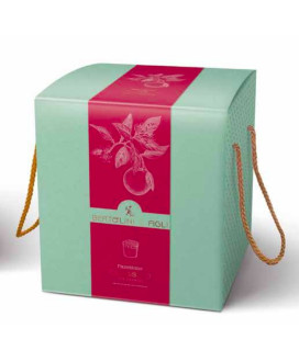 Online sale Best of 2014 panettone Fausto Bertolini, Casa del Dolce. Shop online homemade panettone quality