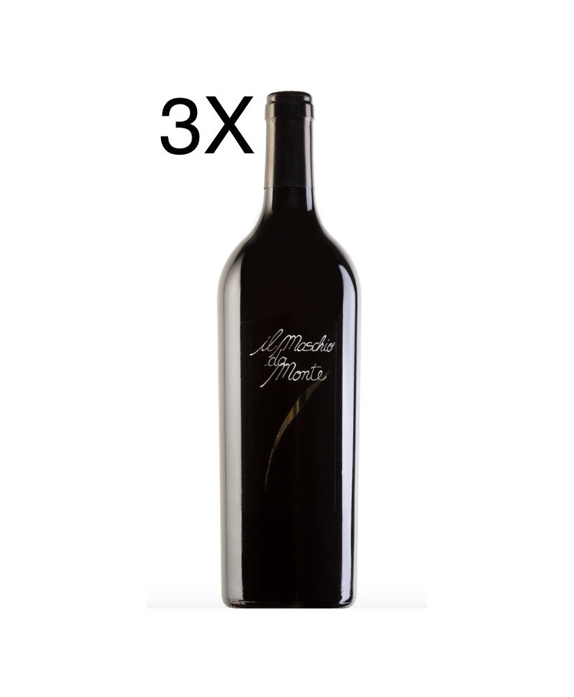 Shop online red wine Maschio Da Monte Stefano Antonucci | corso101.com