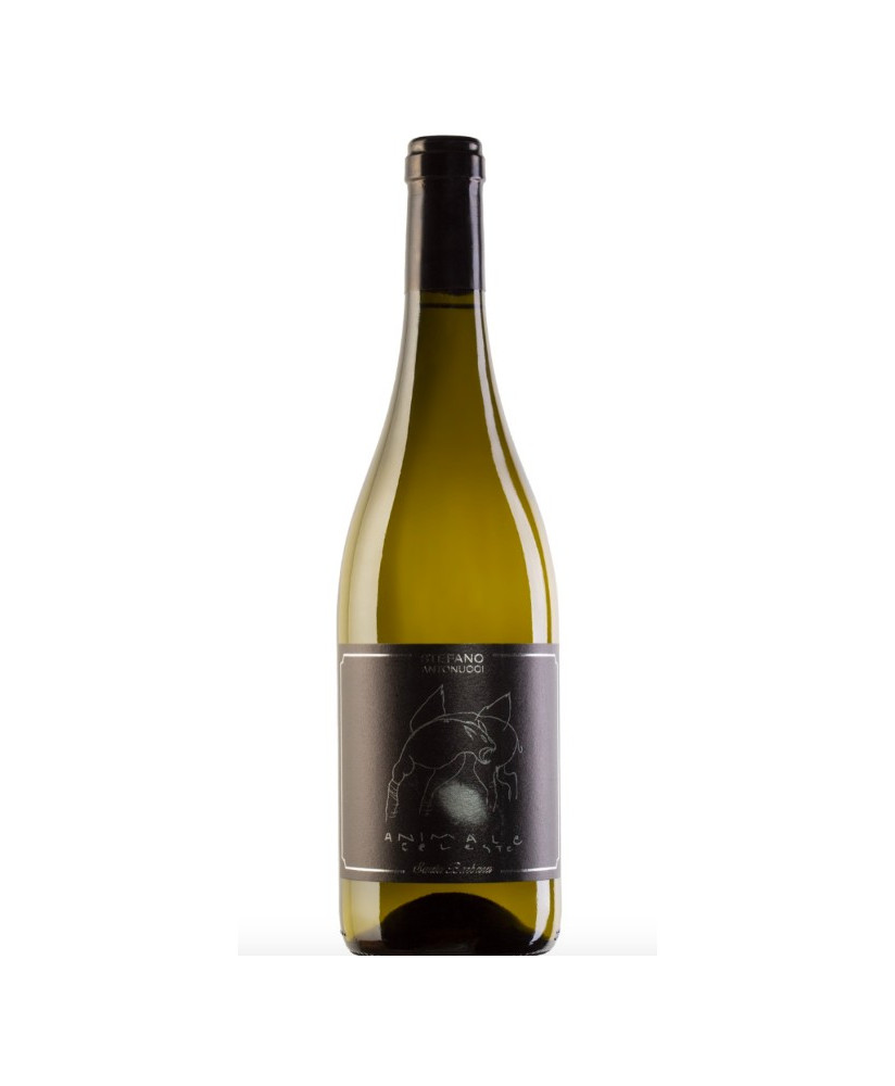 Santa Barbara - Animale Celeste 2019 - Sauvignon Marche IGT - Stefano Antonucci - 75cl