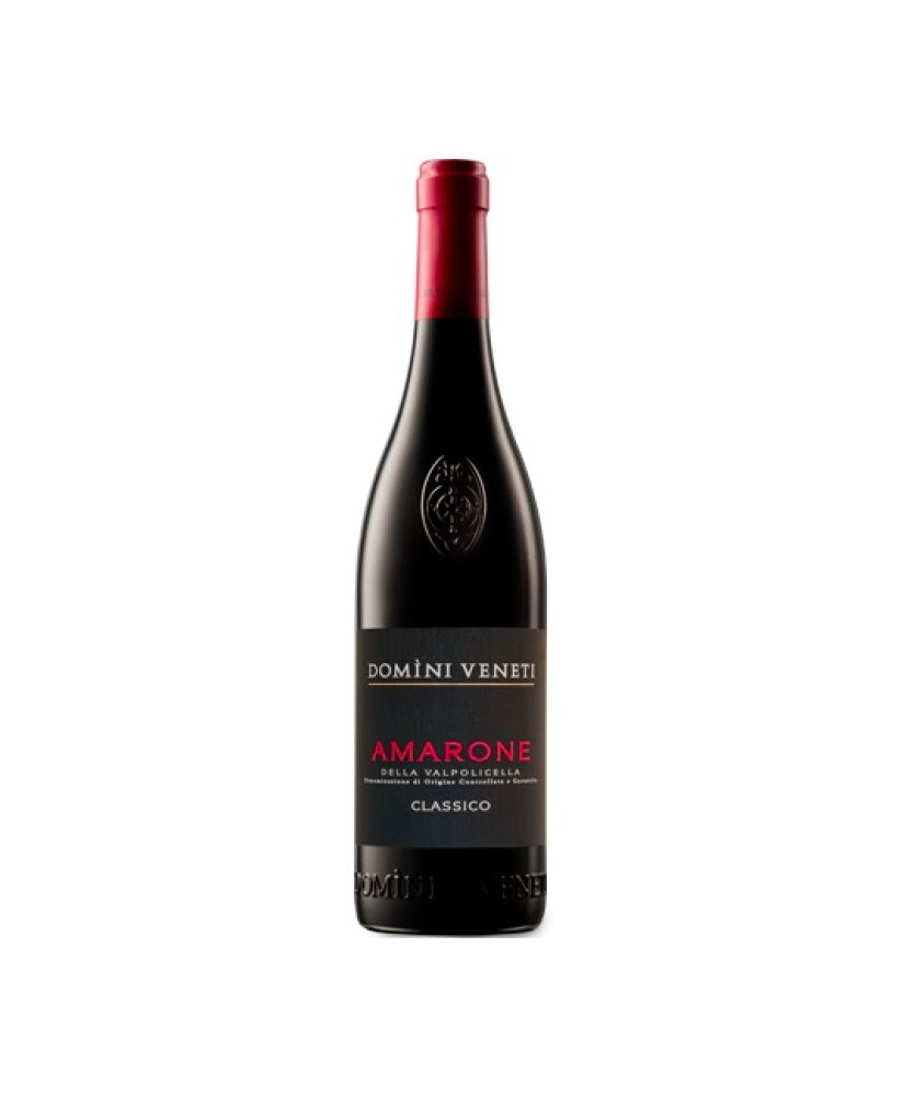 Domìni Veneti - Amarone 2015 - Collezione Pruviniano - DOCG - 75cl