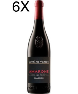 (3 BOTTIGLIE) Domìni Veneti - Amarone 2015 - DOCG - 75cl