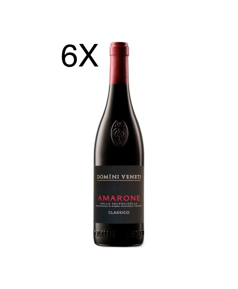 (3 BOTTIGLIE) Domìni Veneti - Amarone 2015 - DOCG - 75cl