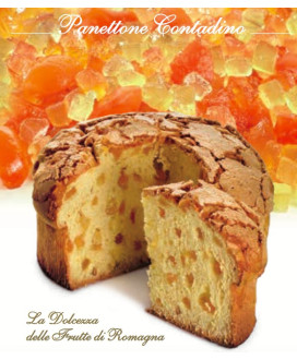 Online sales Flamigni panettone contadino hand-wrapped. Shop online homemade panettone, naturally leavened baked cake with 