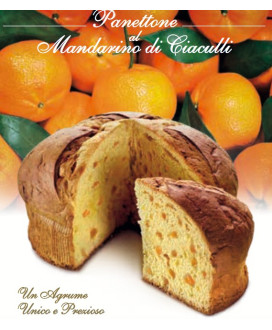 Online sales Flamigni panettone with Ciaculli Tangerine. Shop online homemade panettone,naturally leavened baked cake