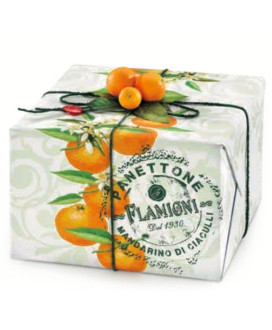 Online sales Flamigni panettone with Ciaculli Tangerine. Shop online homemade panettone,naturally leavened baked cake