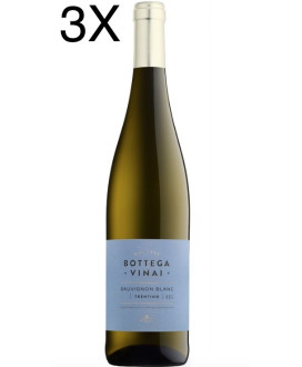 Cavit - Sauvignon Blanc 2019 - Bottega Vinai - Trentino DOC - 75cl