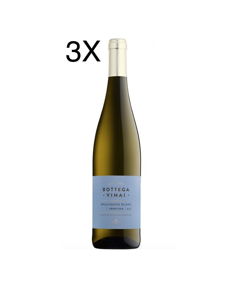 Cavit - Sauvignon Blanc 2019 - Bottega Vinai - Trentino DOC - 75cl