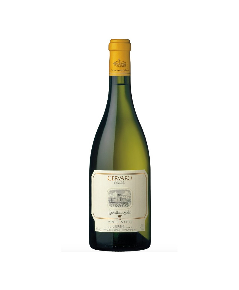 Cervaro della Sala - Castello della Sala - Marchesi Antinori - Shop online white wine place in barriques - Sale price