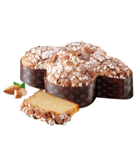 Buy online sale Italian Easter Cake with candied fruit, chocolate, lemon. Shop homemade colomba