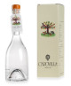 Capovilla - Distillato di albicocche - Astucciato - 50cl